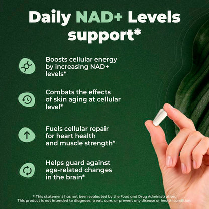 NAD+ Supplement