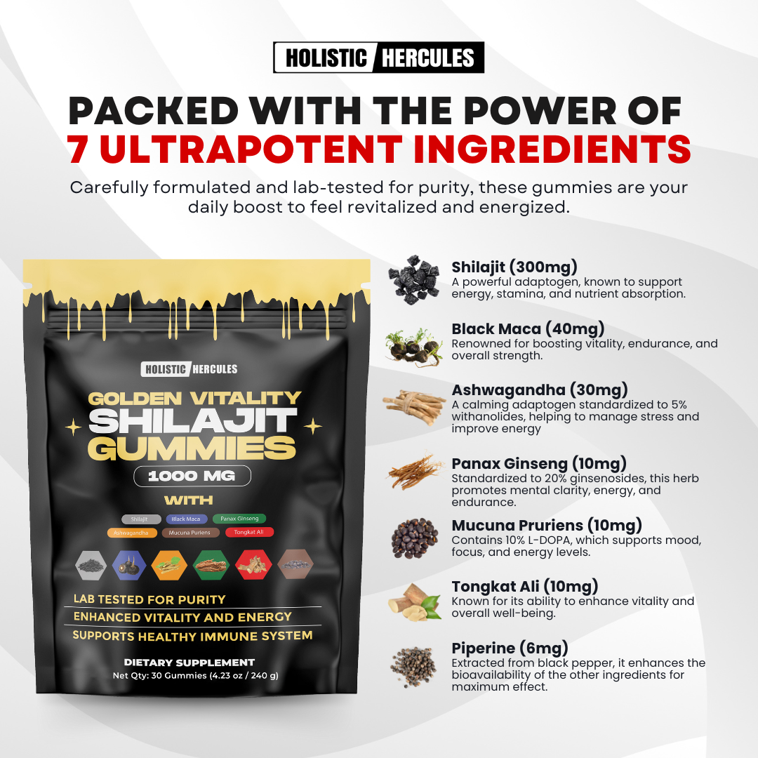 Shilajit & Nitric Oxide Gummy Bundle